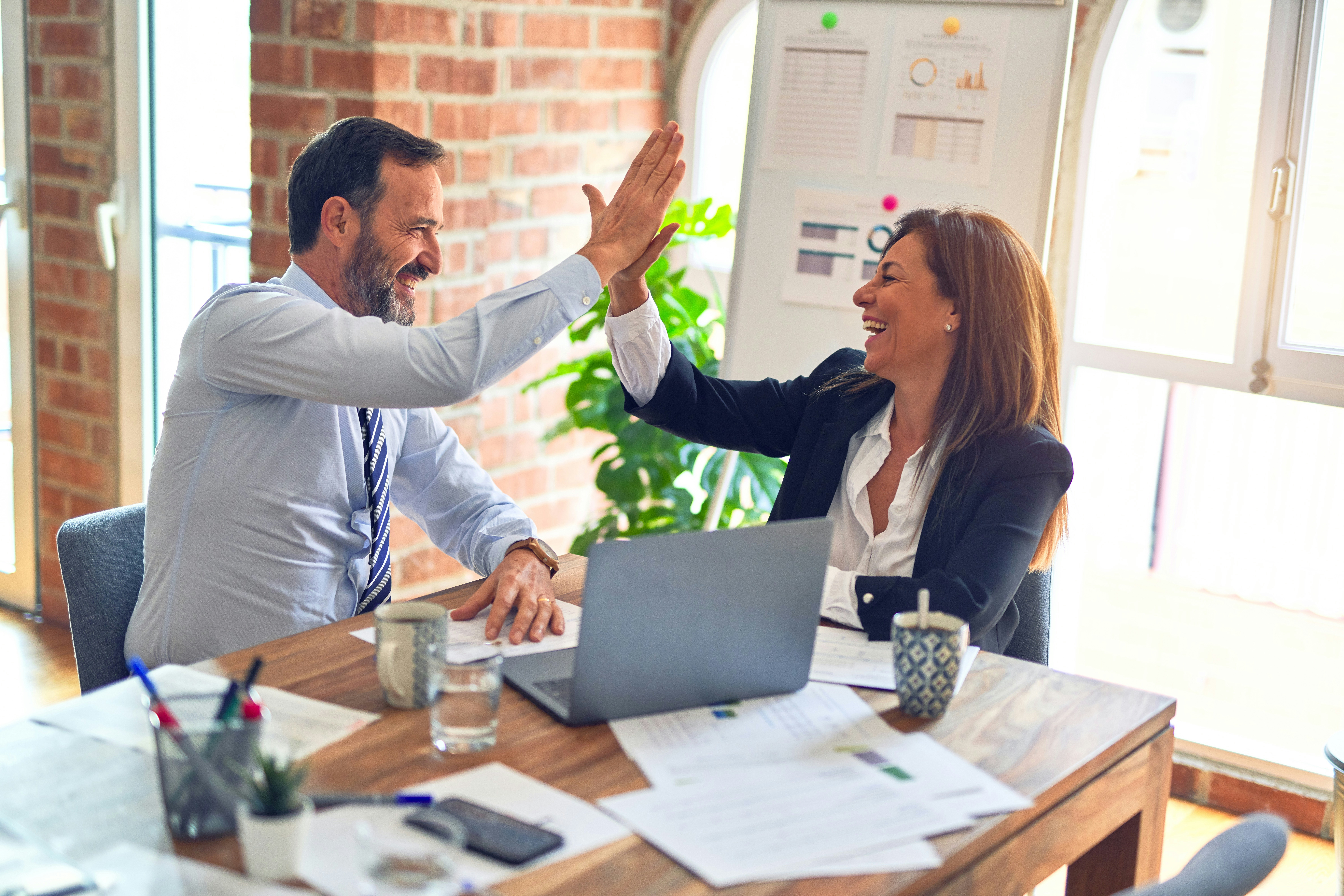 Business and trading operations at Zeal
